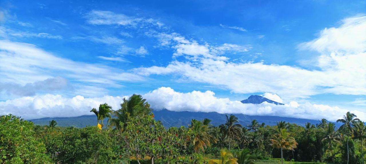 Novia Lombok-tetebatu Guest house