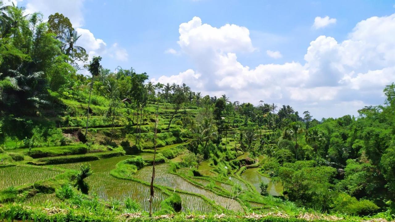 Novia Lombok-tetebatu