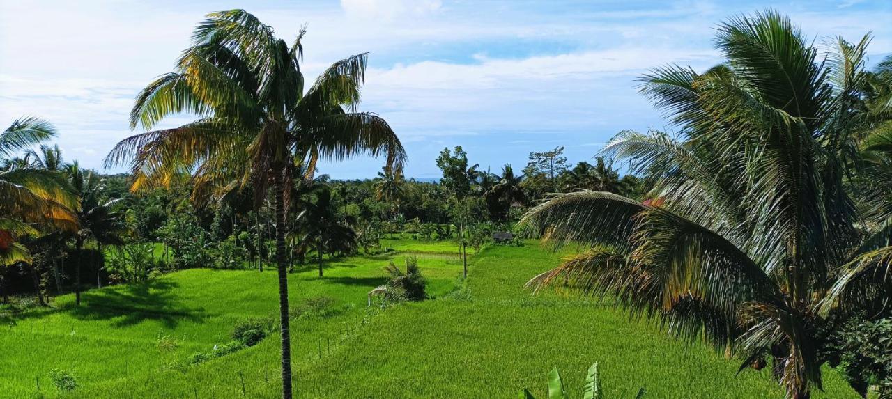 Novia Lombok-tetebatu 2* Tetebatu